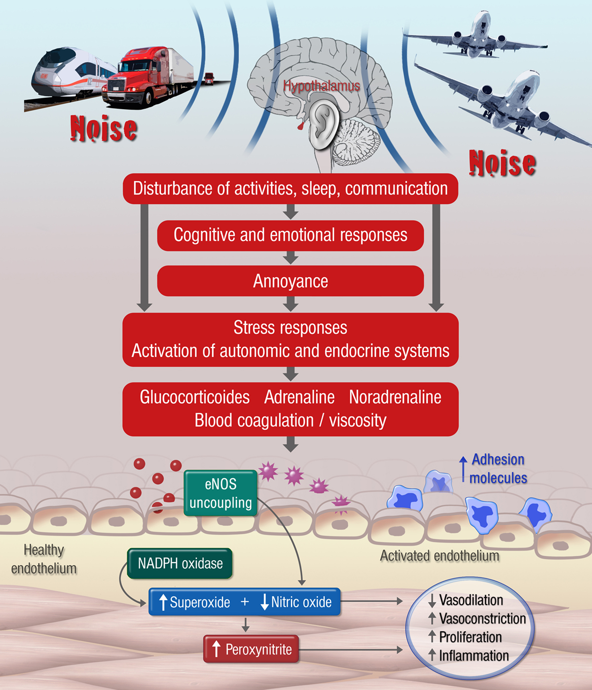 cardiovascular disease, Arterial hypertension