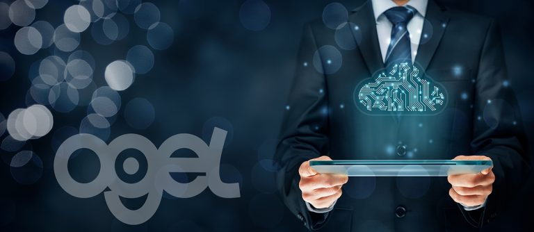 OGEL IT, digital services