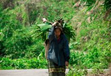 polder project, coastal regions of bangladesh