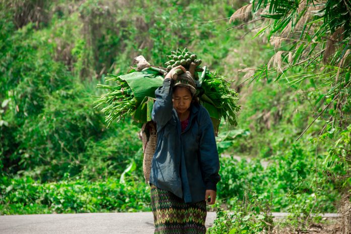 polder project, coastal regions of bangladesh