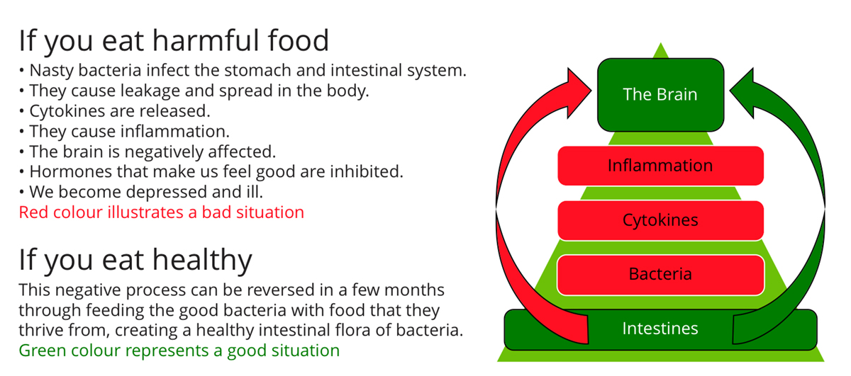 sustainable food production