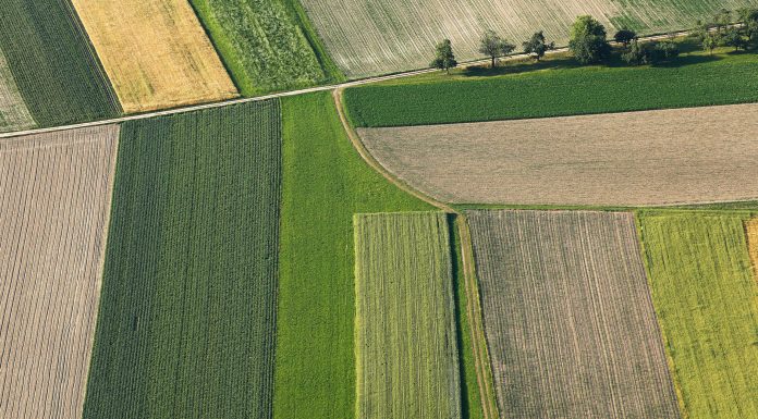 sustainable food production