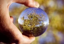 European Network on Environmental Citizenship