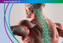 musculoskeletal function research