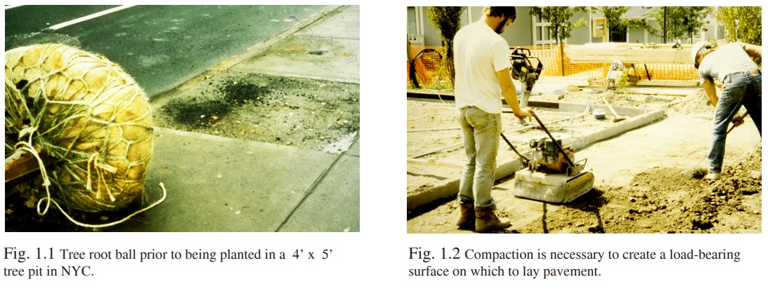 Figure 1 - Streetscape design