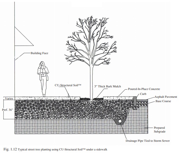 Figure 1.12 - Installing CU-Structural Soil