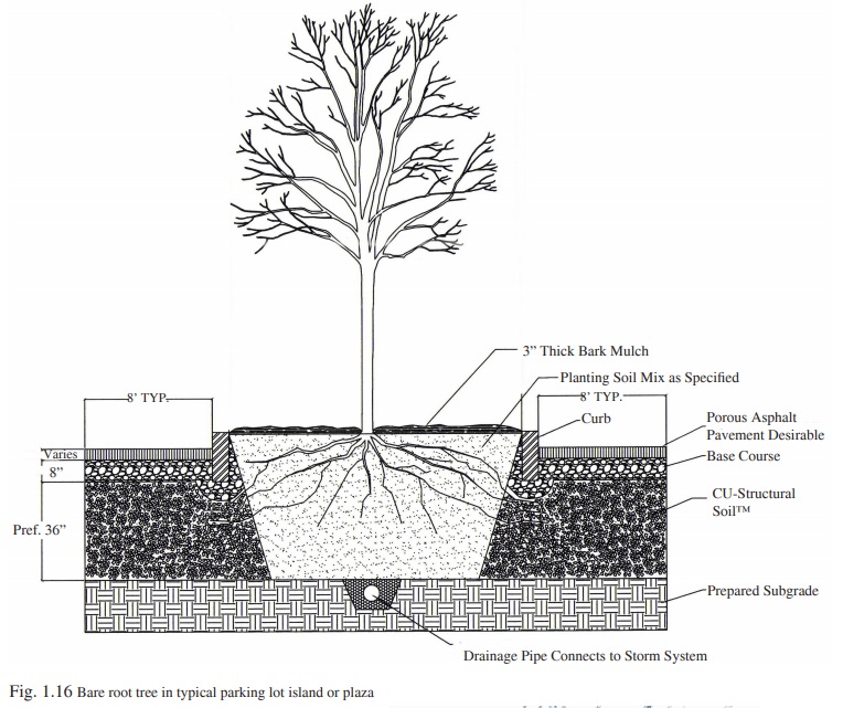 Figure 1.16 - Installing CU-Structural Soil in parking lots