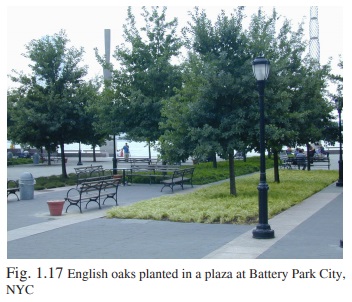 Figure 1.17 - Installing CU-Structural Soil in parking lots