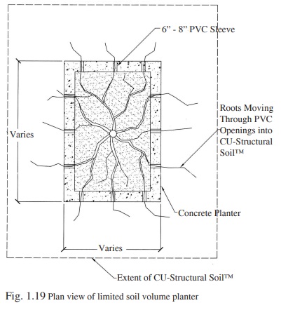 Figure 1.19 - limited soil volume planter