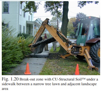 Figure 1.20 - CU-Structural Soil under a sidewalk