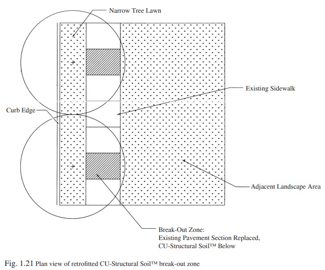 Figure 1.21 - CU-Structural Soil break-out zone