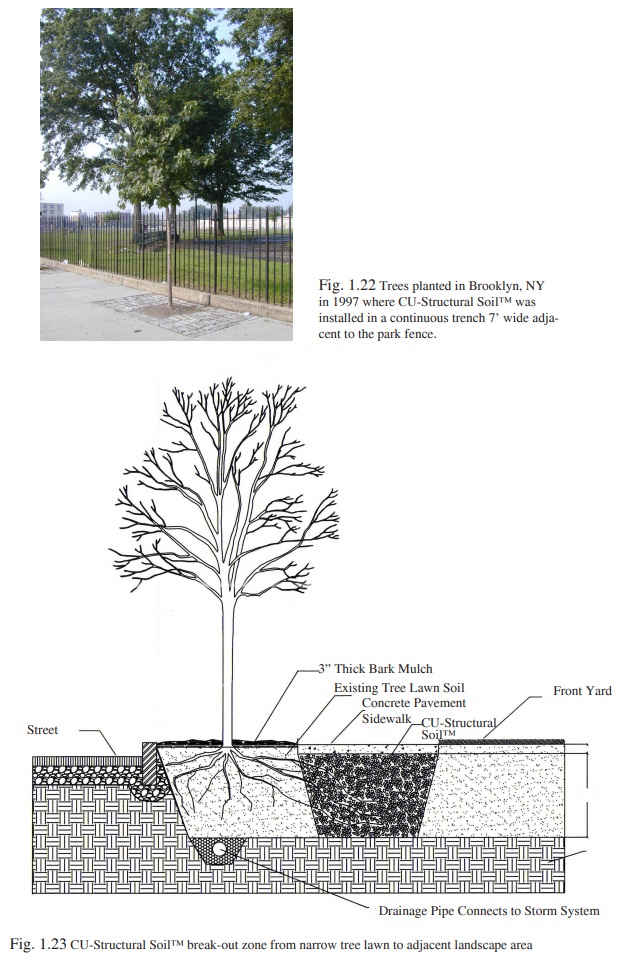 Figure 1.22 - CU-Structural Soil sidewalk