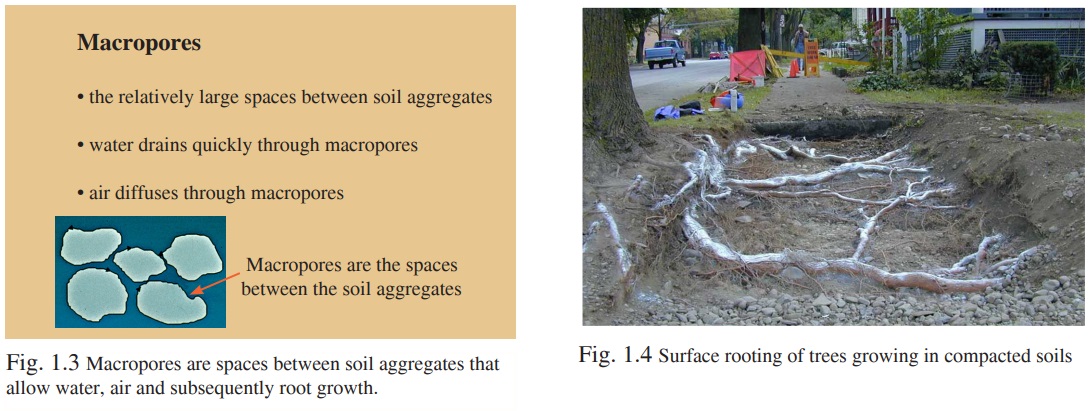 Figure 1.3 - Macropores