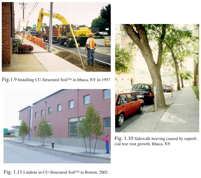 Figure 1.9 - Installing CU-Structural Soil