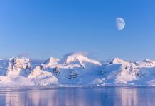 fight against climate change, uk polar network