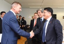 Zusammenarbeit zwischen der EU und Japan