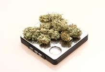 help people lose weight, Medical Marijuana