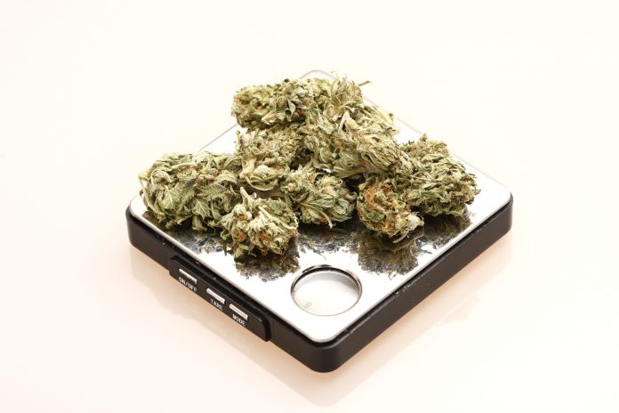 help people lose weight, Medical Marijuana