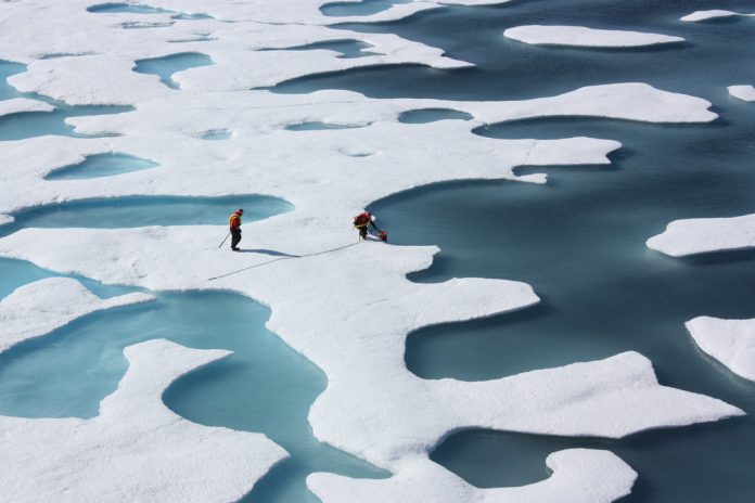 international arctic research, USARC