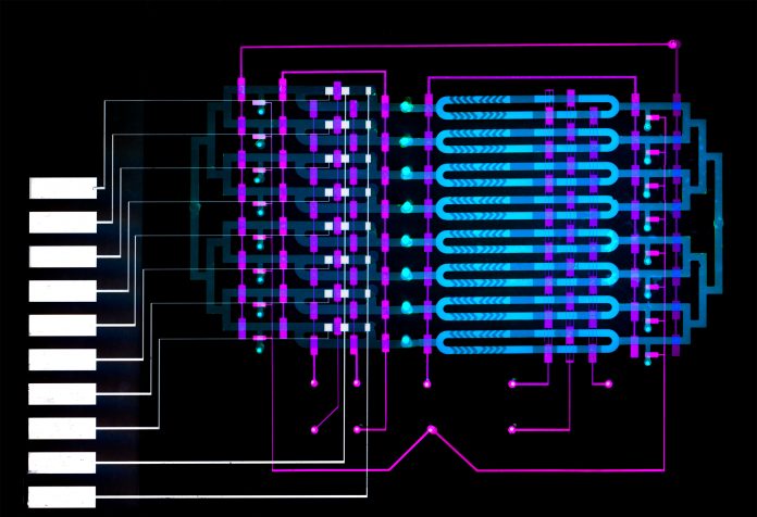 diagnose sepsis, microfluidics