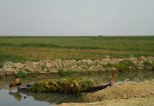 clean water in iraq, water crisis