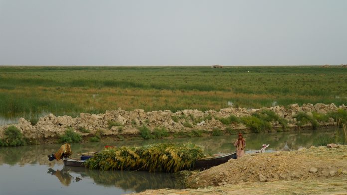 clean water in iraq, water crisis