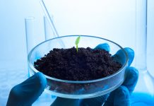 value of plant science