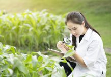 field of plant pathology