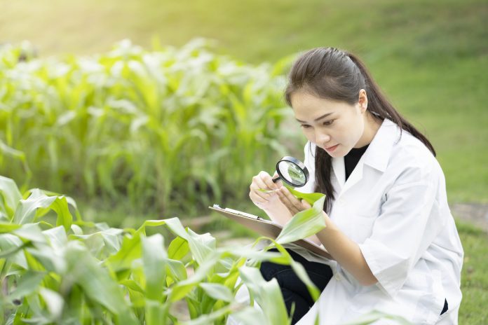 field of plant pathology