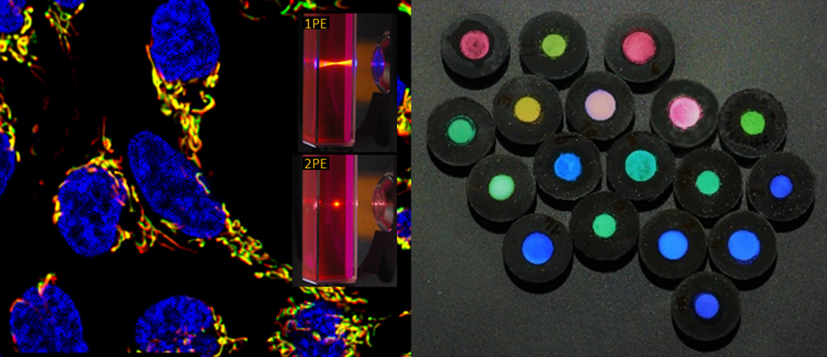 functional nanomaterials, biological targeting 