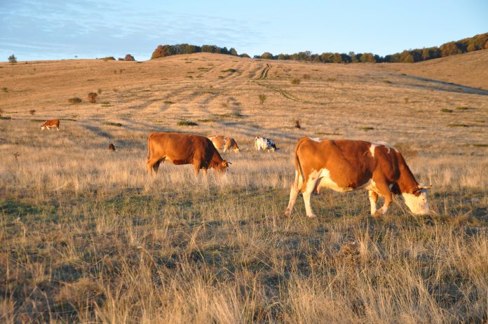 rethink our food system, food inequality