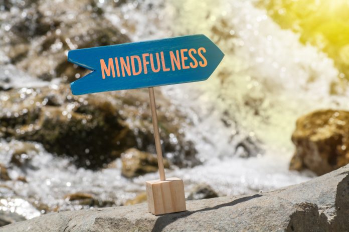 surviving brexit, mindfulness