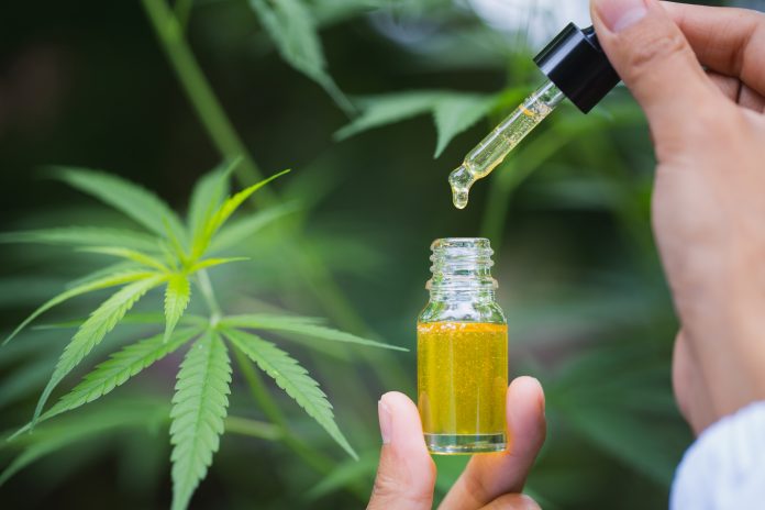 supporting your mental health, CBD oil