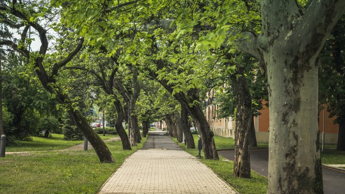 Does your neighbourhood affect social cohesion and the feeling of lonliness?