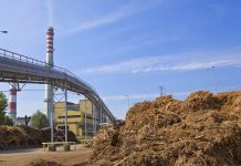 biomass industry 