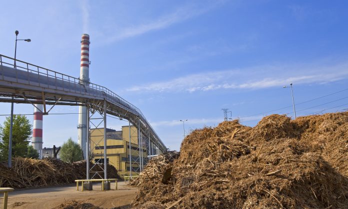 biomass industry 