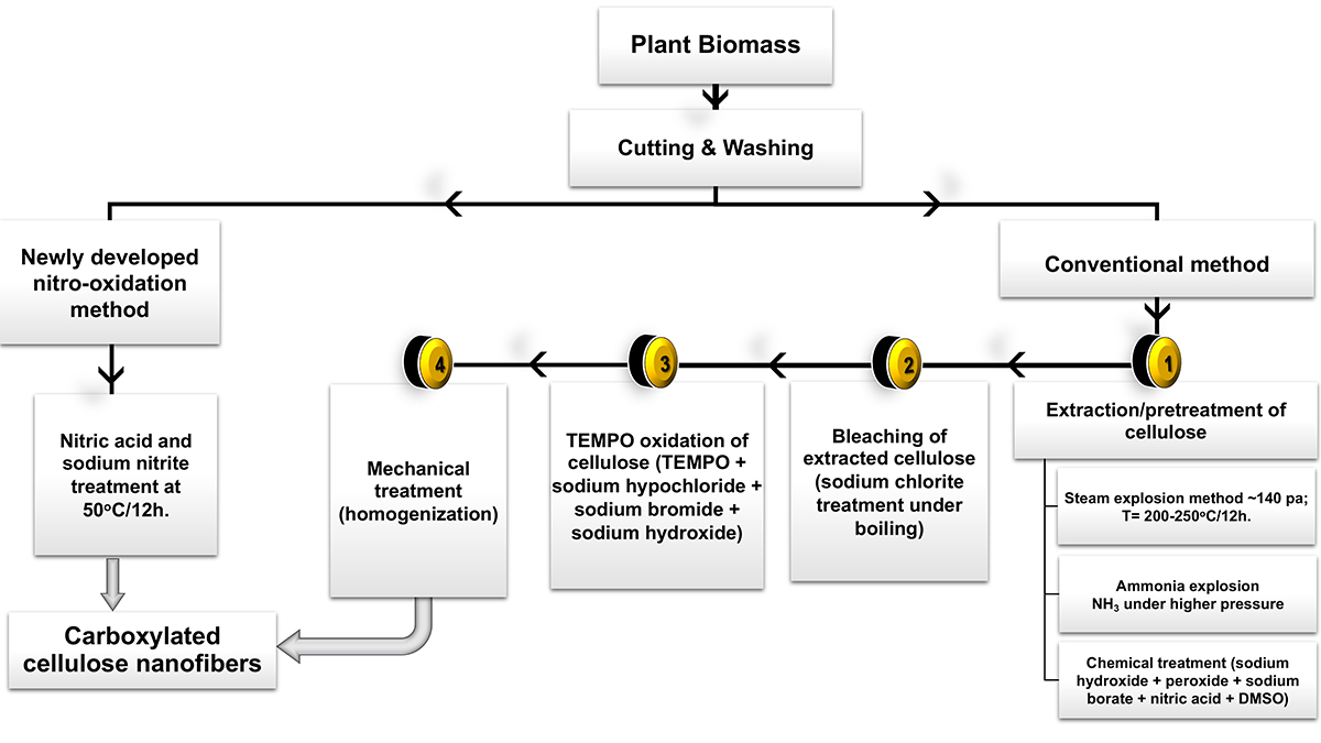 Sustainable water purification