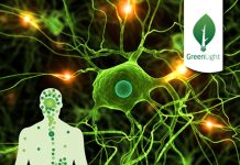 supplements and medicines