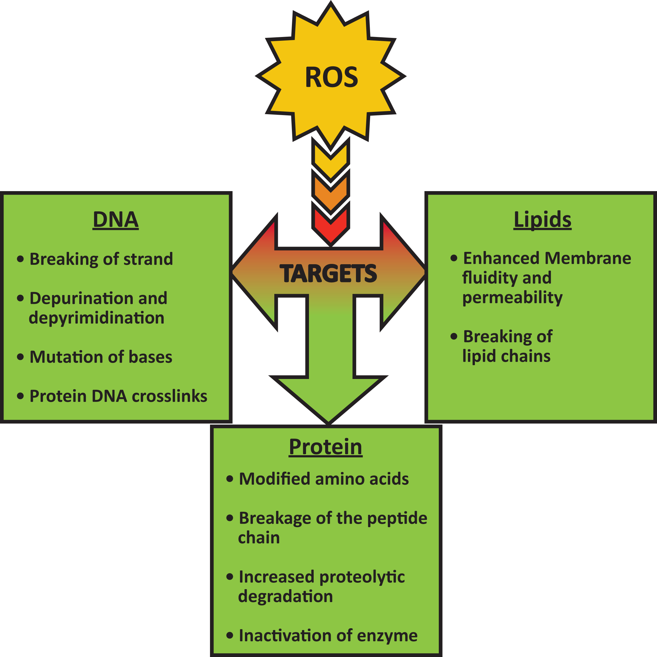 Nasa Ames Organization Chart