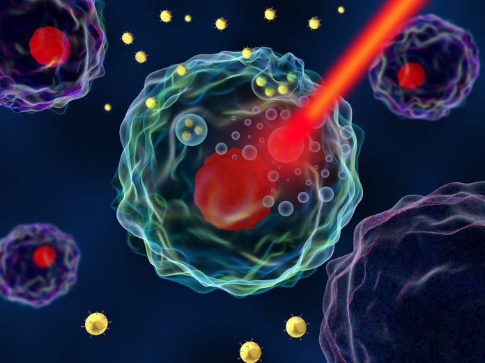 Size of nanoparticles