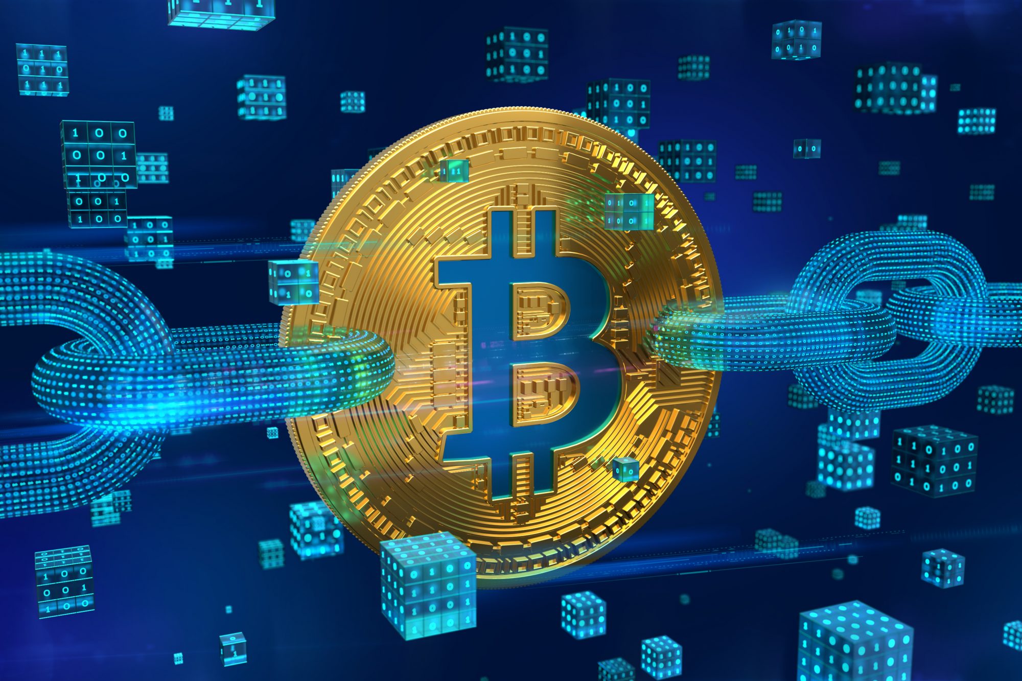 bitcoin blockchain database