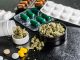 Cannabis-based medicines