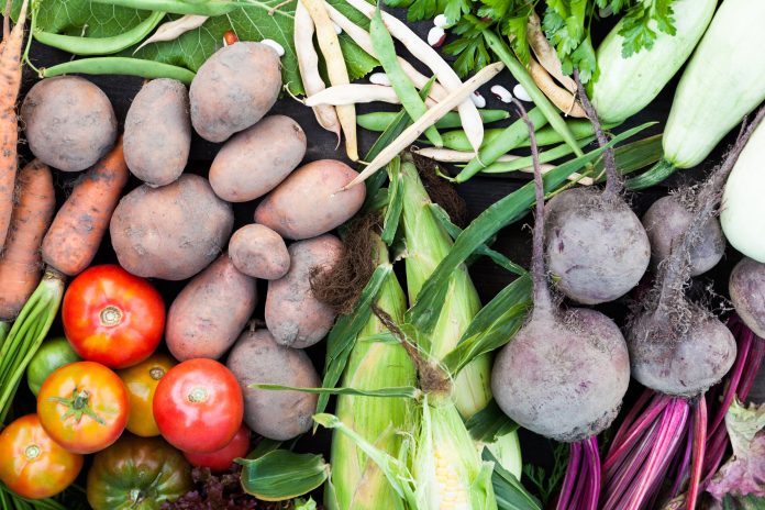 container farming