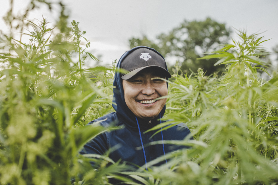 hemp market, central asian steppes