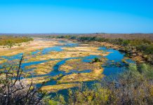 flooded populations, water borne disease