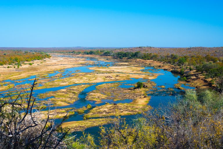 flooded populations, water borne disease