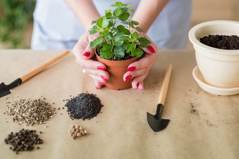 how can gardening help you, mental health