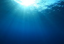 ocean protection, highly protected marine areas