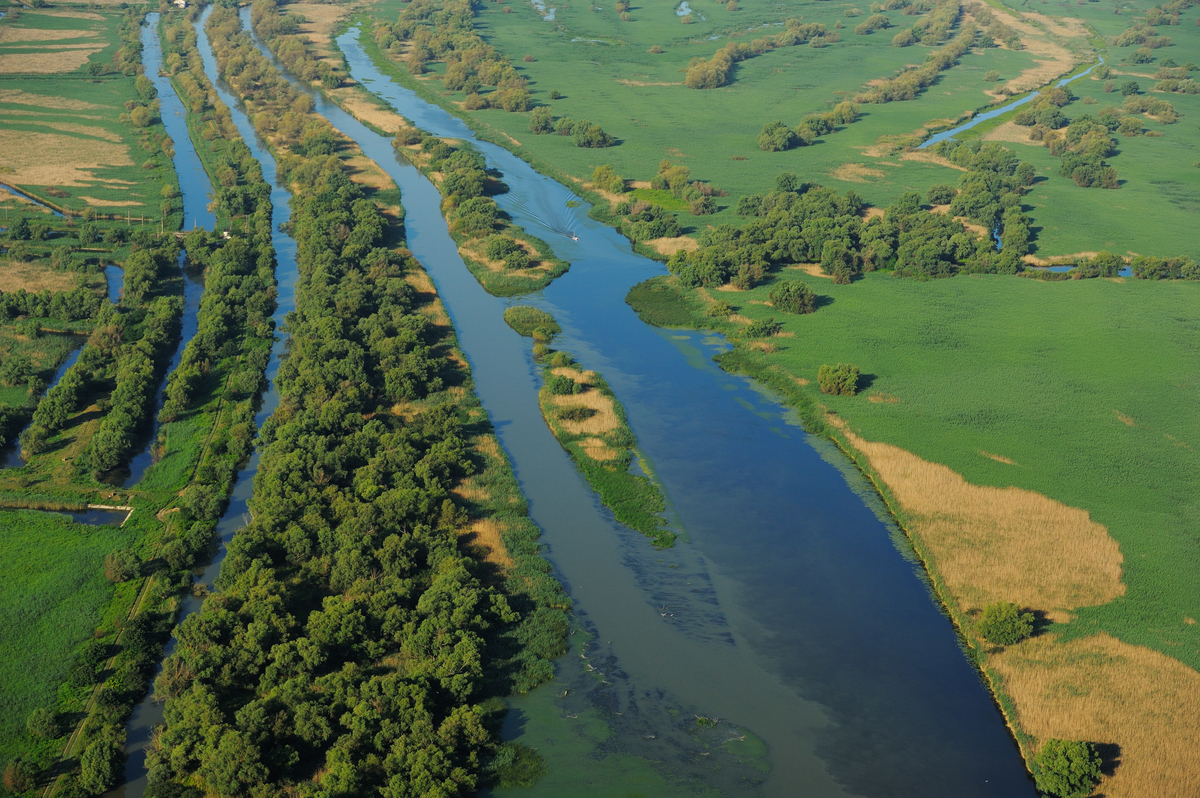 conservation success stories, ecosystem