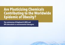epidemic of obesity, bisphenol A